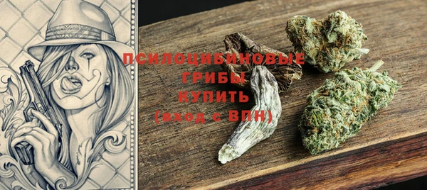 твердый Аркадак