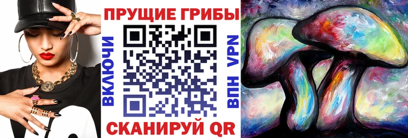 Псилоцибиновые грибы прущие грибы  маркетплейс официальный сайт  Полярные Зори 