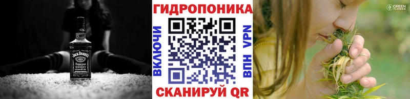 Канабис VHQ Полярные Зори